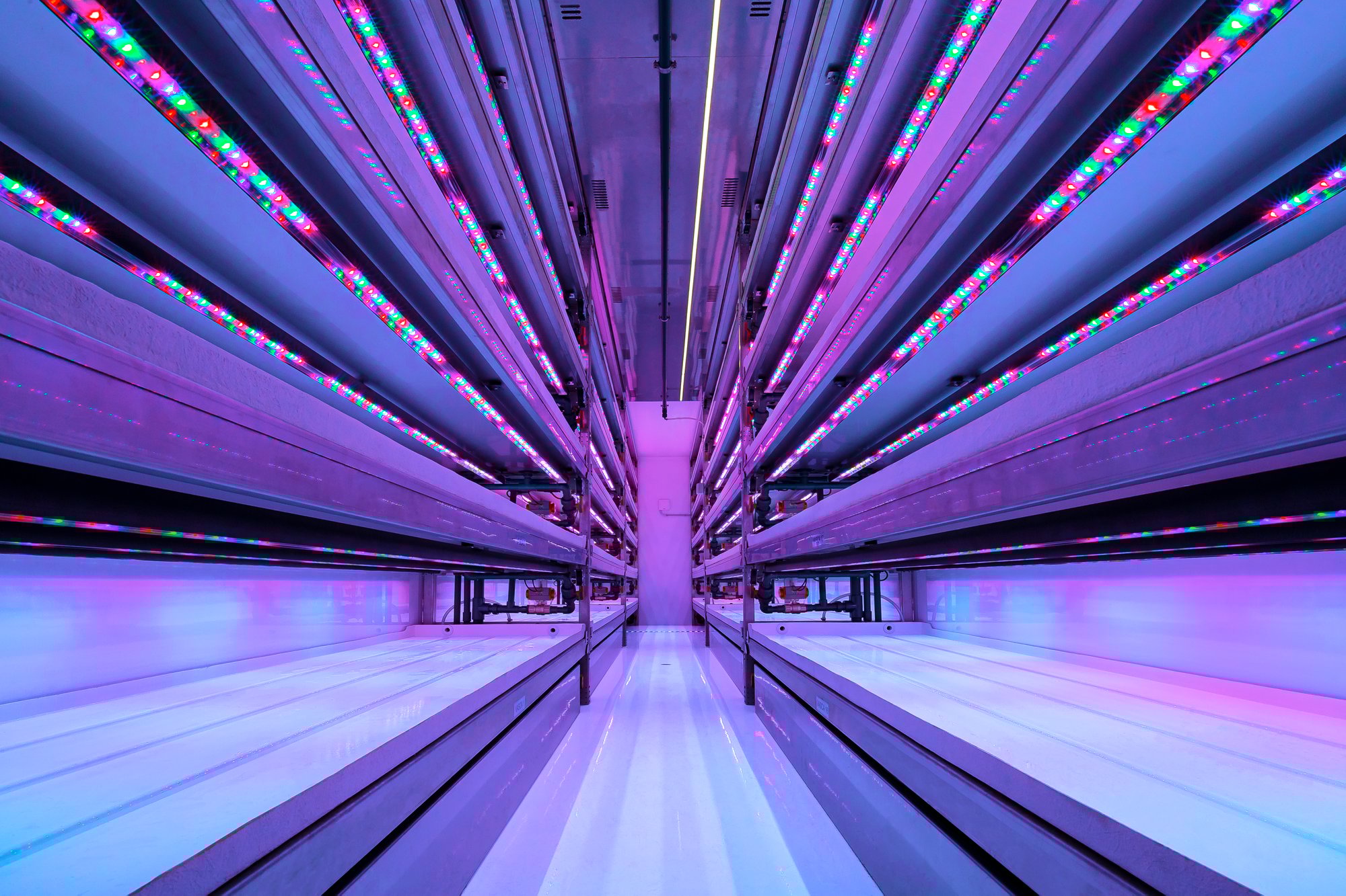 Horto Professional Inside 1